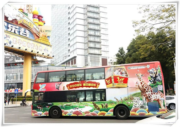 動(dòng)物伴你同行，這個(gè)公交車廣告有點(diǎn)萌哦!