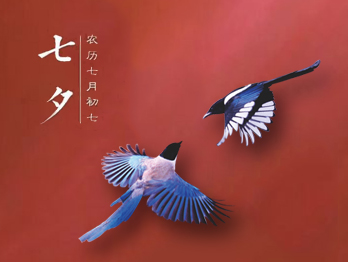 七夕節(jié)，你秀恩愛了嗎?