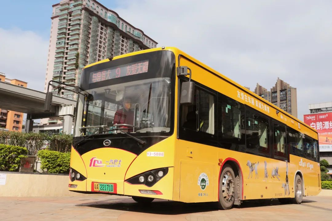 “導(dǎo)盲犬主題巴士”廣州公交廣告9路線發(fā)車了！
