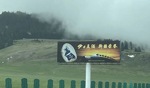 新疆高速立柱大牌廣告案例，烏魯木齊高速廣告酒類廣告案例