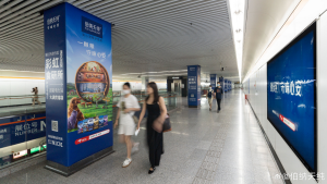 上海地鐵花木路站廣告價(jià)格多少錢？上海地鐵會(huì)展廣告案例亞寵展