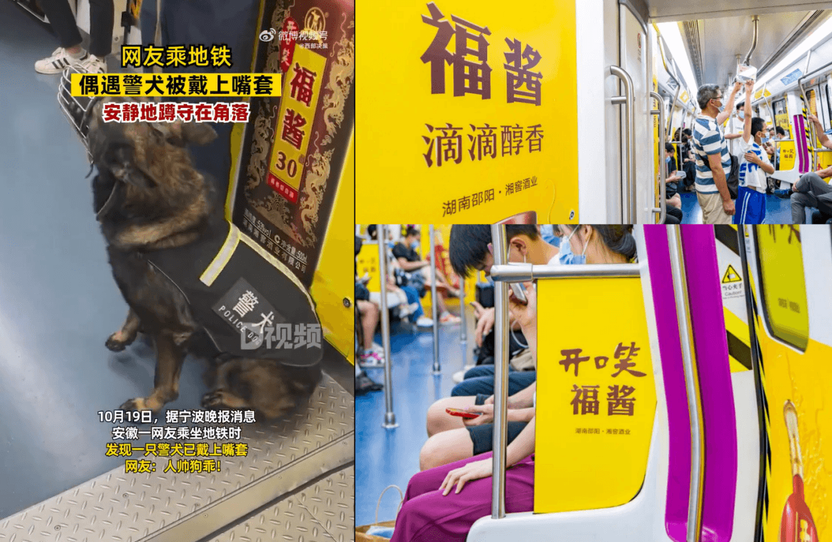 長(zhǎng)沙地鐵廣告價(jià)格多少錢？長(zhǎng)沙地鐵列車內(nèi)包車廣告全線覆蓋酒案例