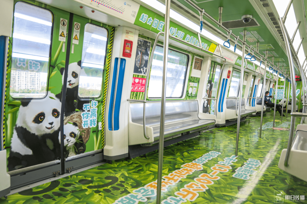 寧波地鐵車廂廣告價格多少錢？寧波地鐵廣告經(jīng)典全包車案例動物園
