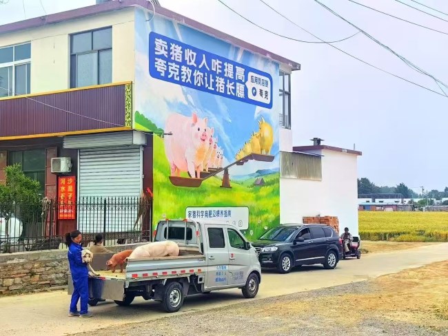 如何結(jié)合方言和文化元素設(shè)計(jì)刷墻廣告？